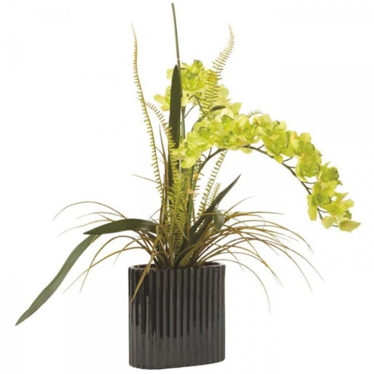 Picture of TEST PRODUCT Cymbidium Orchid