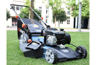 Picture of 150cc Self-Propelled Bag Lawn Mower