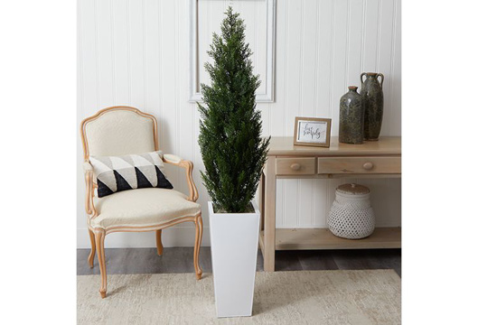 Picture of 5.5' Indoor/Outdoor Cedar Tree