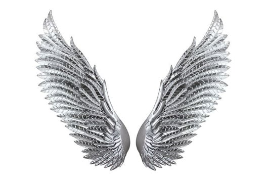 Picture of Silver Wings Metal Wall Decor 