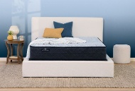 Picture of Blue Lagoon Firm Queen Mattress & Low Profile Boxspring