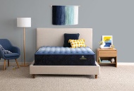 Picture of Brecon Firm Full Mattress & Low Profile Boxspring