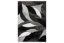 Picture of Rosa Shag Accent Rug