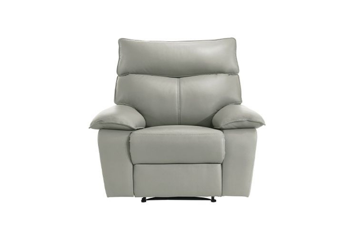 Picture of Wildcat Leather Recliner