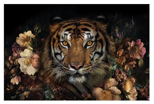 Picture of Floral Tiger Tempered Glass