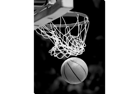 Picture of Slam Dunk Moment Gloss Canvas