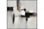 Picture of Urban Elegance I Canvas in Frame