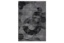 Picture of Alexia Blk/Grey Area Rug