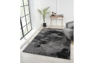 Picture of Alexia Blk/Grey Area Rug