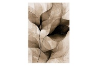 Picture of Alexia Brown/Cream Area Rug