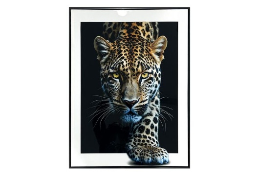 Picture of Midnight Stalker II