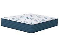 Picture of Limited Edition Firm Queen Mattress & Low Profile Boxspring